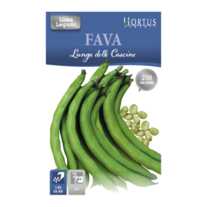 Fava lunga delle cascine