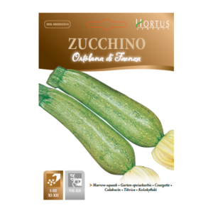 Zucchino Ortolana di Faenza