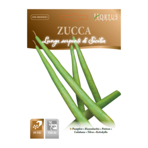 Zucca lunga serpente di Sicilia