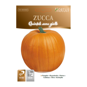 Zucca Quintale seme giallo