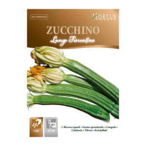 Zucchino lungo fiorentino