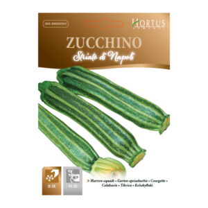 Zucchino striato di Napoli