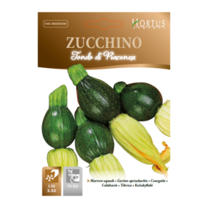 Zucchino tondo di Piacenza