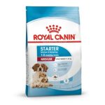 medium-starter-dry-royal-canin