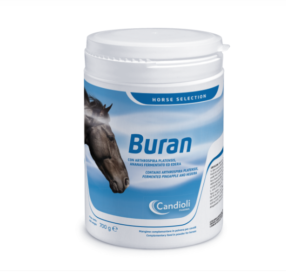 BURAN